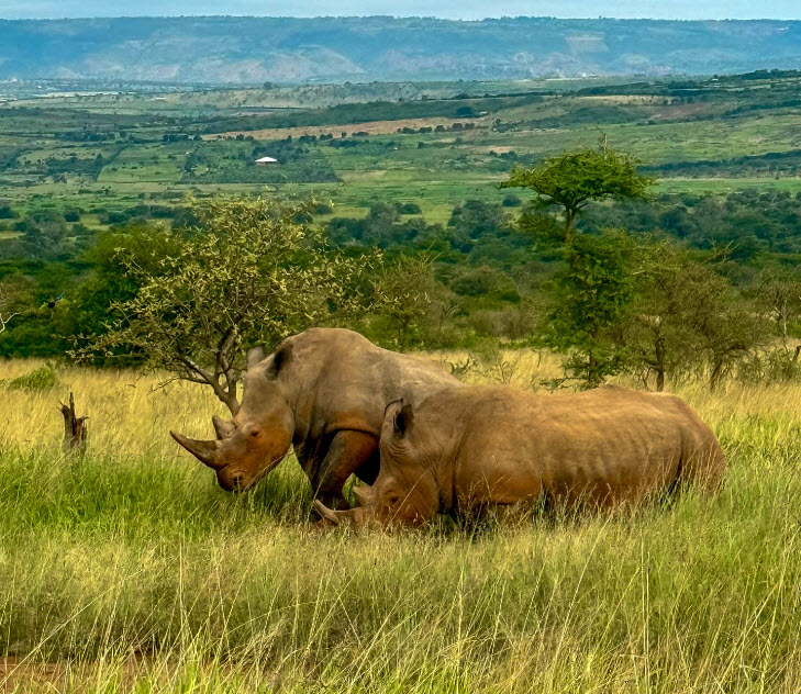 Akagera National Park, Kayonza, Eastern Province, Rwanda